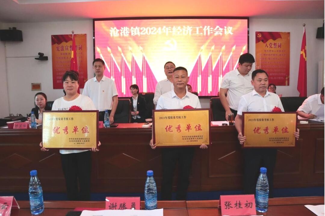 汉寿县沧港镇召开2024年经济工作会议
