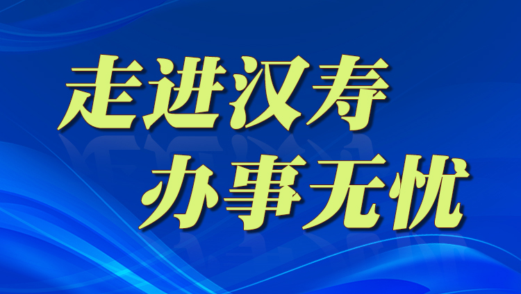 《走进汉寿 办事无忧》专栏