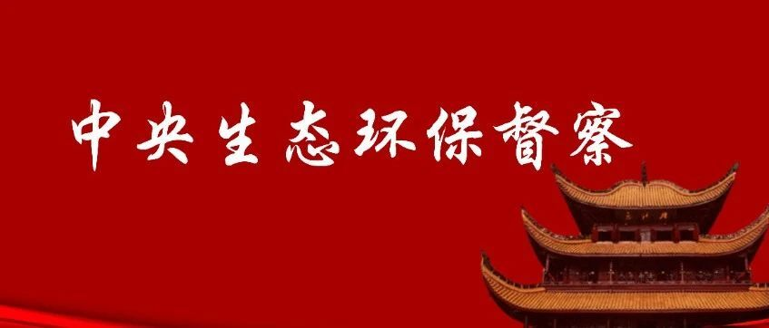 【中央生态环保督察】省委书记接连批示，“高度重视”成为关键词
