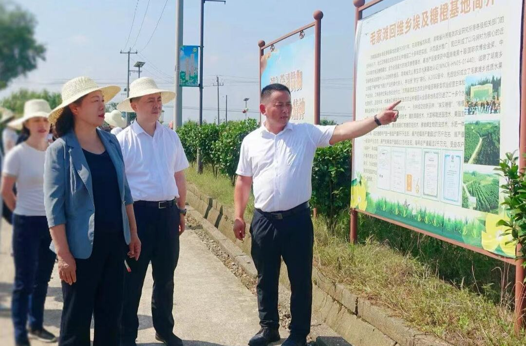 肖百灵在常德调研：用深厚多彩的民族文化助力铸牢中华民族共同体意识