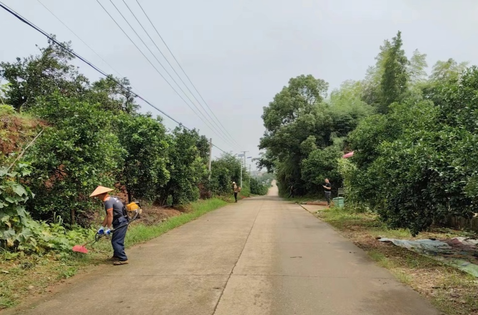 汉寿县百禄桥镇：开展农村公路砍草除杂工作，保障道路安全畅通