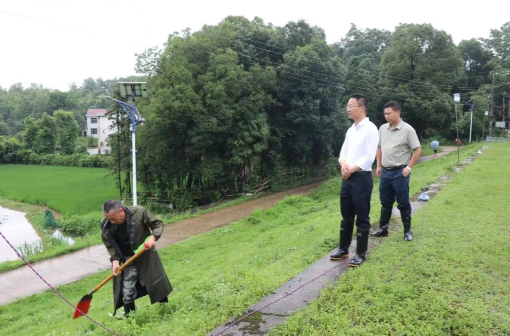 汉寿：“地毯式”巡查堤坝  守护河道水库安全