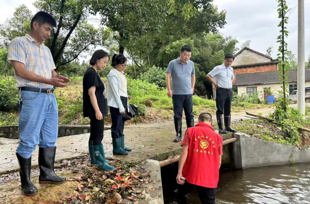 毛家滩回维乡：以“雨”为令，闻“汛”而动