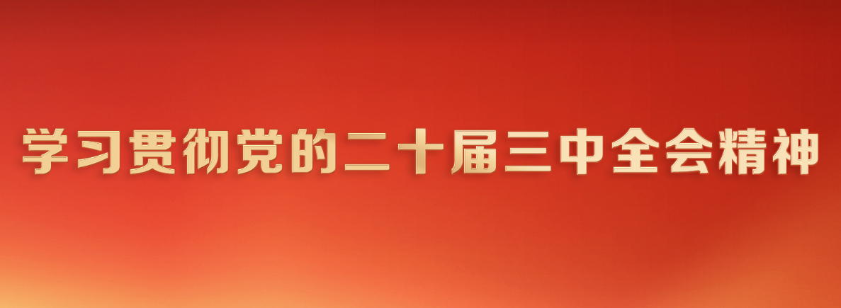 《学习贯彻党的二十届三中全会精神》专栏