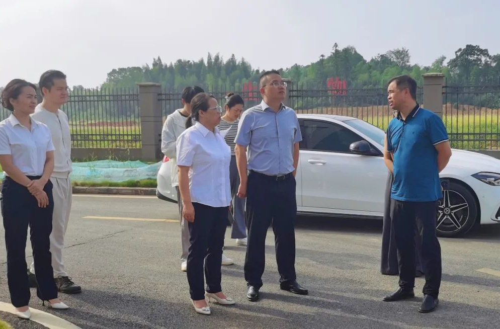 汉寿县领导调研徕木绿色基地产业园等重点项目建设