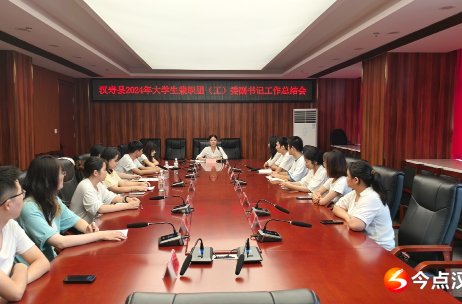 共青团汉寿县委召开2024年大学生兼职团（工）委副书记暑期工作总结会
