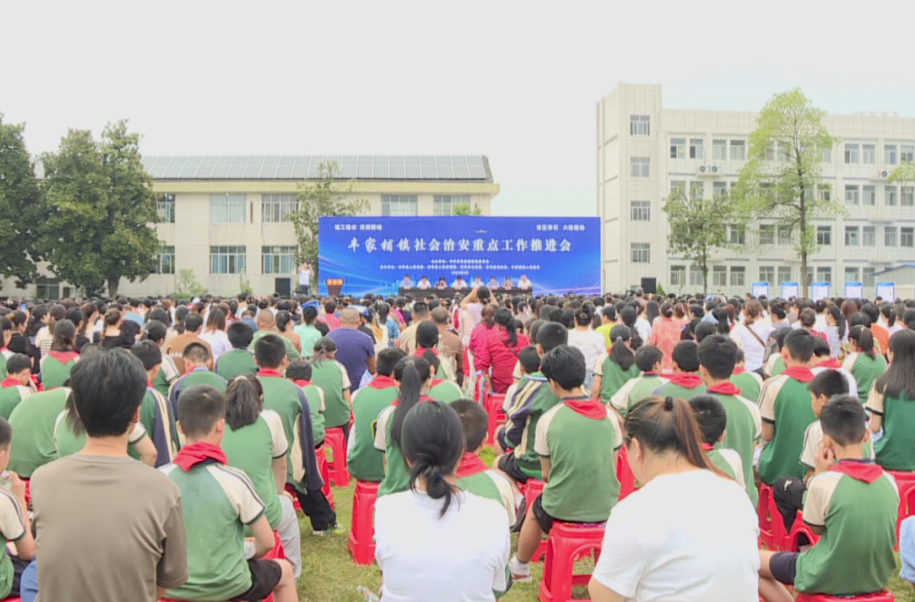 丰家铺镇社会治安召开重点整治工作推进会