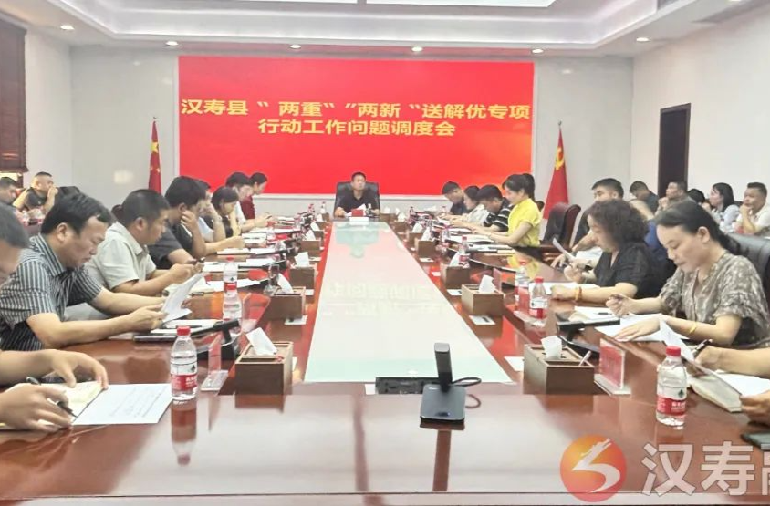 【汉寿县“两重”“两新”送解优专项行动】汉寿县召开“两重”“两新”送解优专项行动工作问题调度会