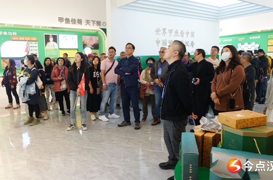 台湾省农业文化代表交流团来汉寿考察百亿甲鱼产业