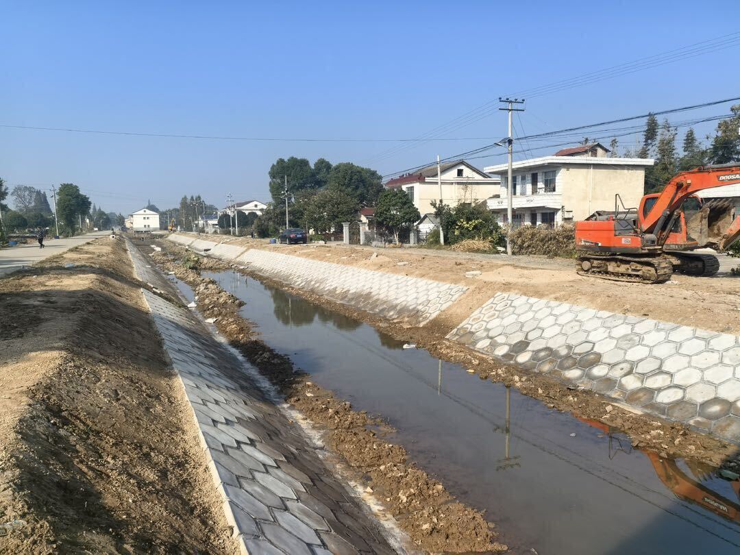 汉寿县洲口镇：修建民生幸福渠 办好群众身边事