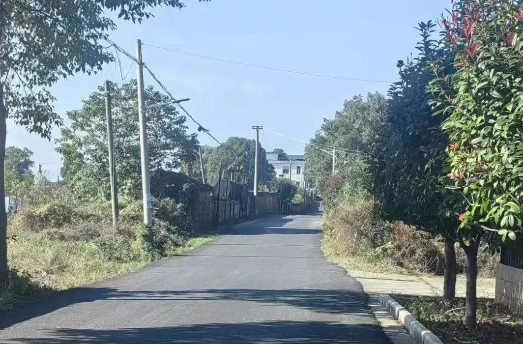 沧浪街道：铺出群众“幸福路”，为民办事暖人心