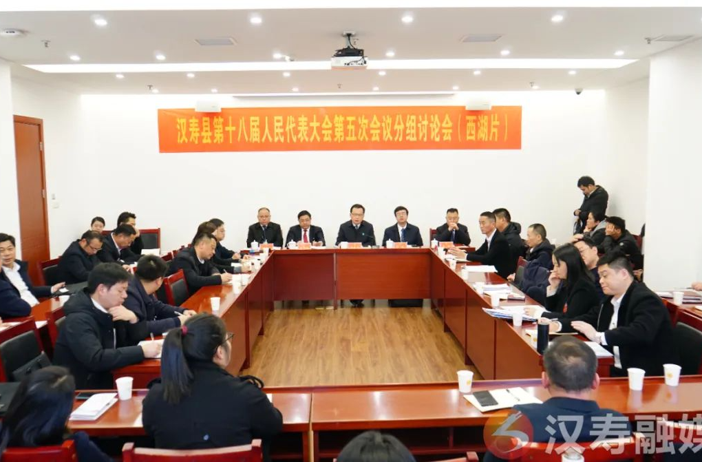 汉寿县第十八届人民代表大会第五次会议继续开展分组审议