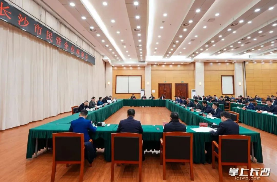 长平 | 民营经济，大显身手正当其时！
