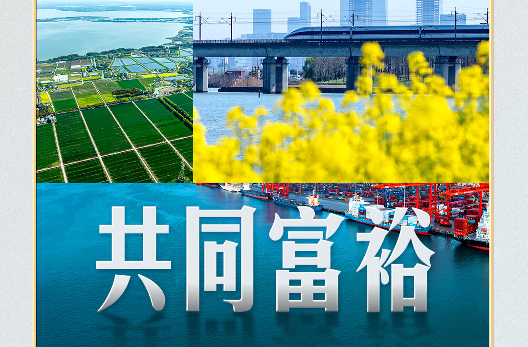 习言道｜全国两会，习近平再谈共同富裕