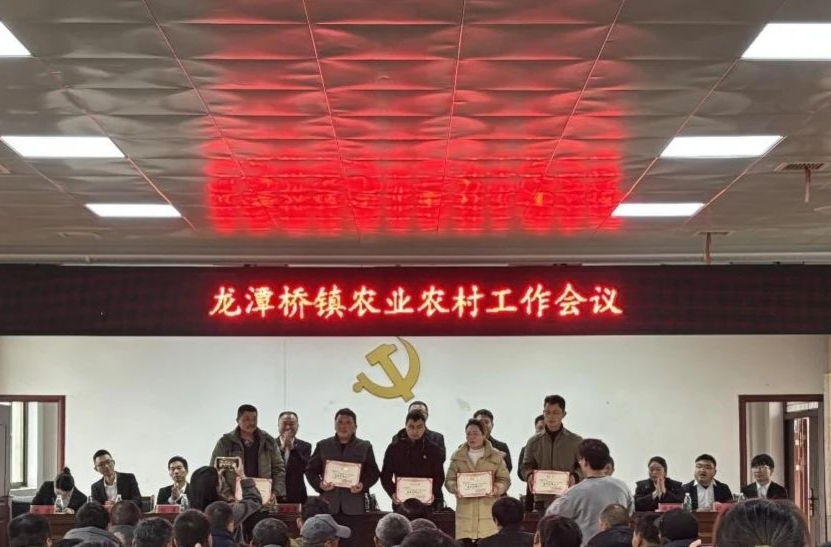 龙潭桥镇2025年度农业农村工作会议凝心聚力护粮安 砥砺奋进谱新篇