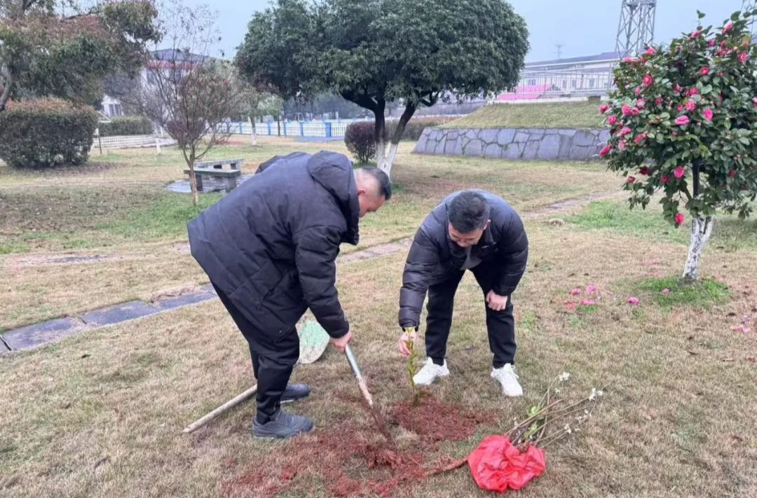 汉寿县气象局开展义务植树活动
