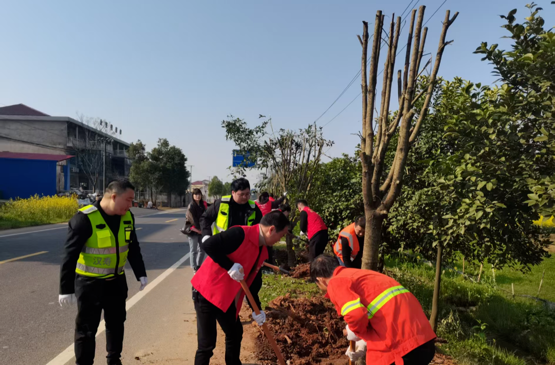 汉寿县公路建设养护中心开展“义务植树添春色 绿化公路美龙阳”主题党日活动