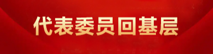 《代表委员回基层》专栏