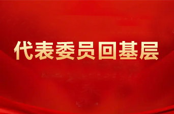 《代表委员回基层》专栏
