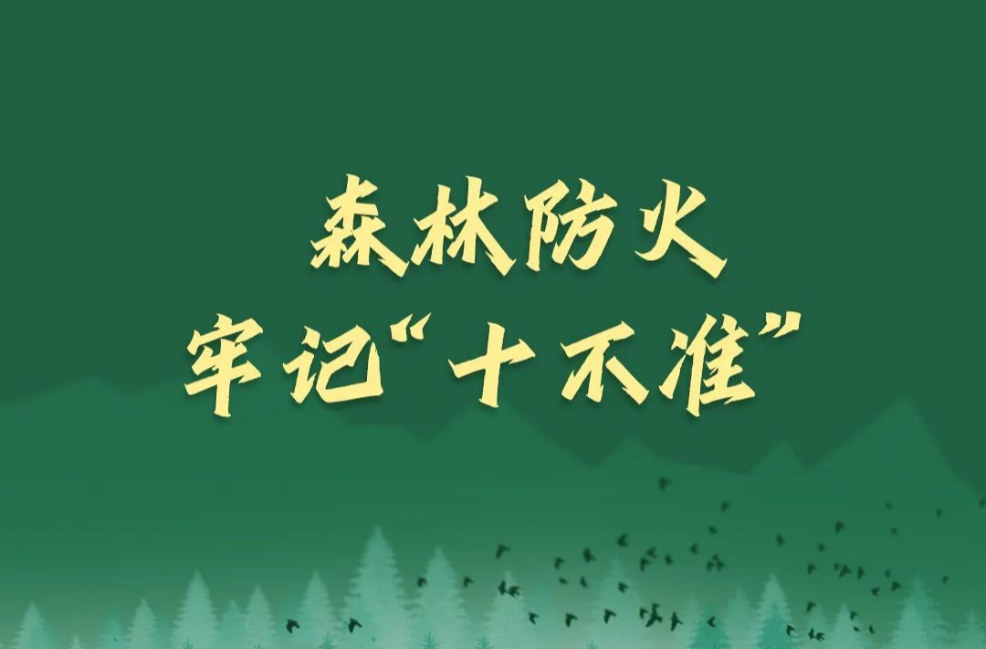 森林防火正当时，人人牢记“十不准”！