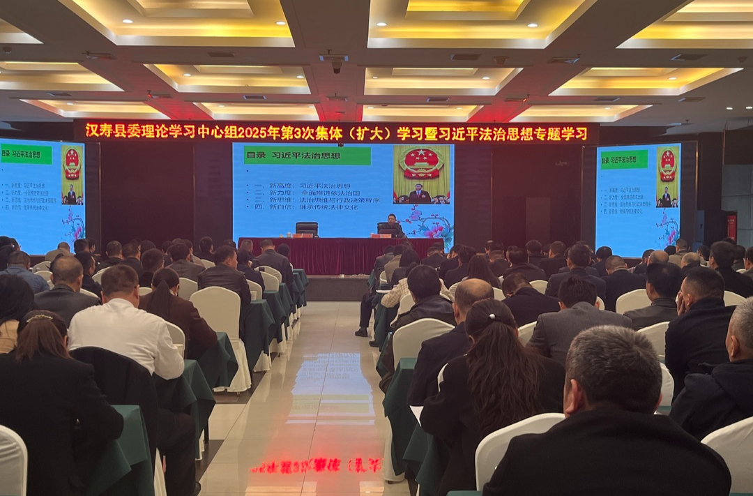 汉寿县委理论学习中心组开展2025年第3次集体（扩大）学习