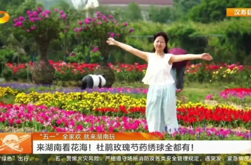 湖南卫视《湖南新闻联播》| 来汉寿看花海：玫瑰、芍药、一串红、矮牵牛、孔雀草全都有！