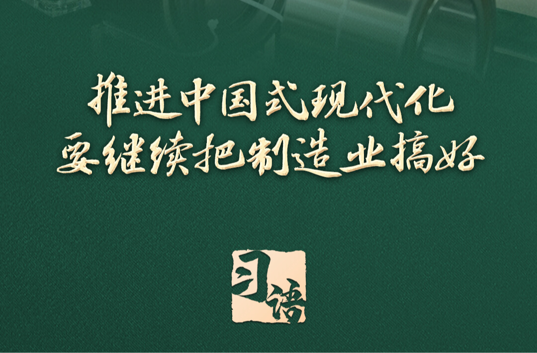 习语丨总书记为什么说“这条路走对了”？