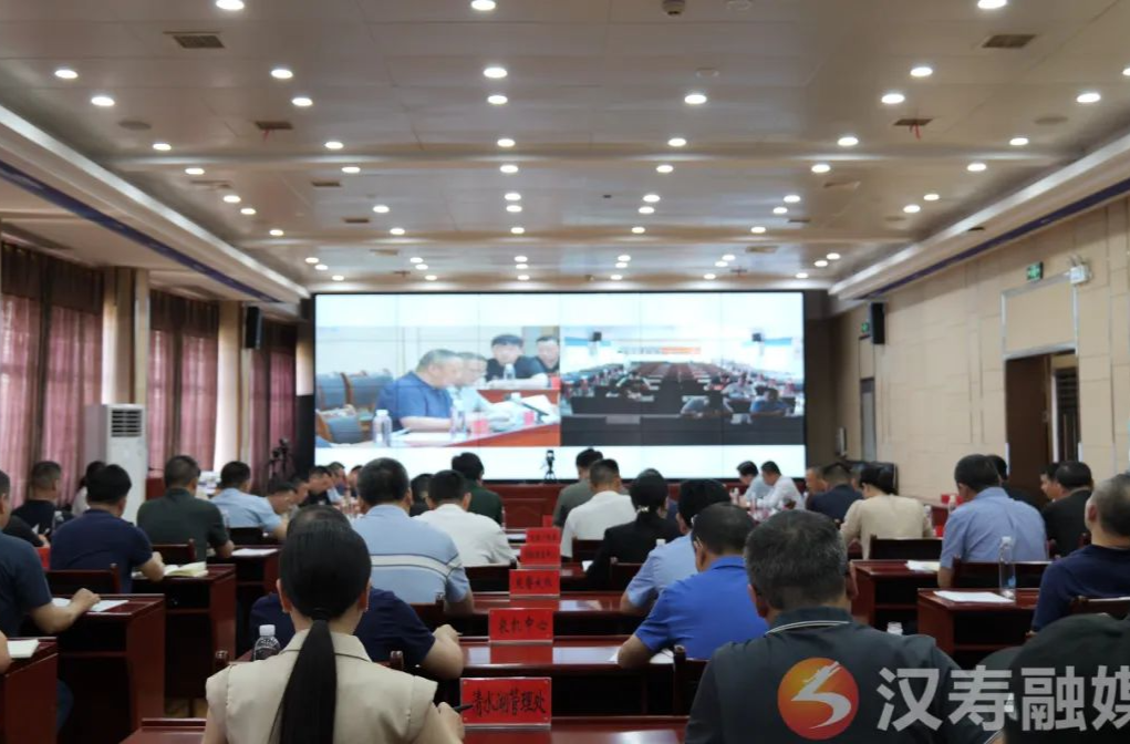 汉寿县召开安全生产及农村集体“三资”管理专项整治工作视频会议