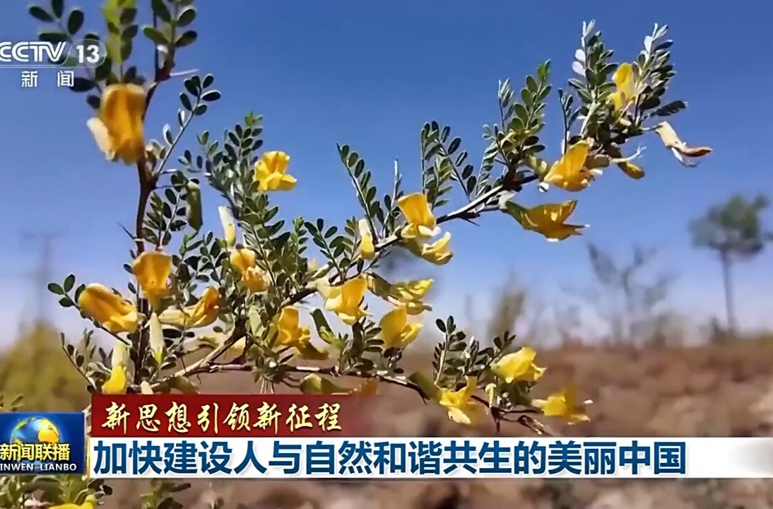 新思想引领新征程丨加快建设人与自然和谐共生的美丽中国
