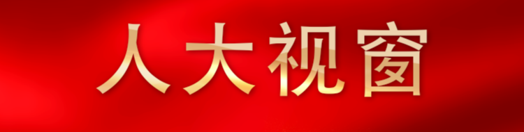 《人大视窗》专栏