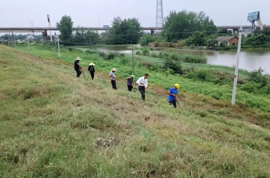 汉寿防汛抗灾进行时，一系列措施紧张有序实施