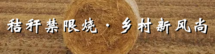 《秸秆禁限烧·乡村新风尚》专栏