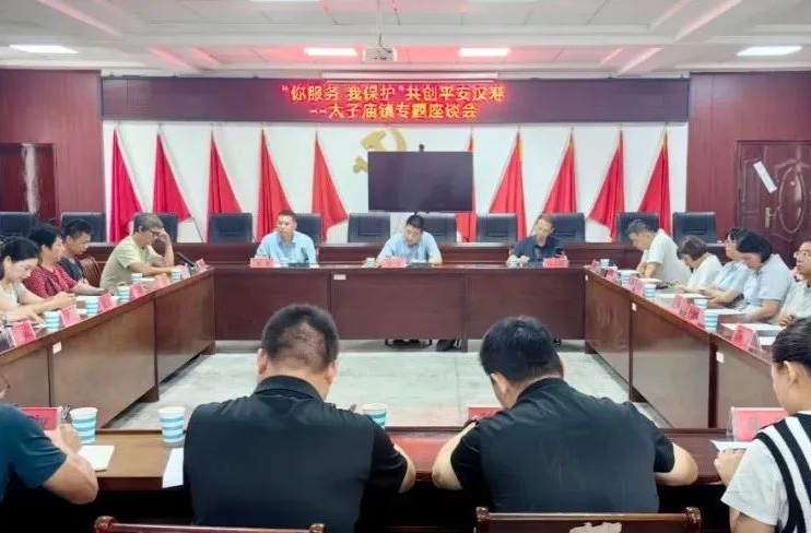 “你服务 我保护”共创平安汉寿太子庙镇专题座谈会召开