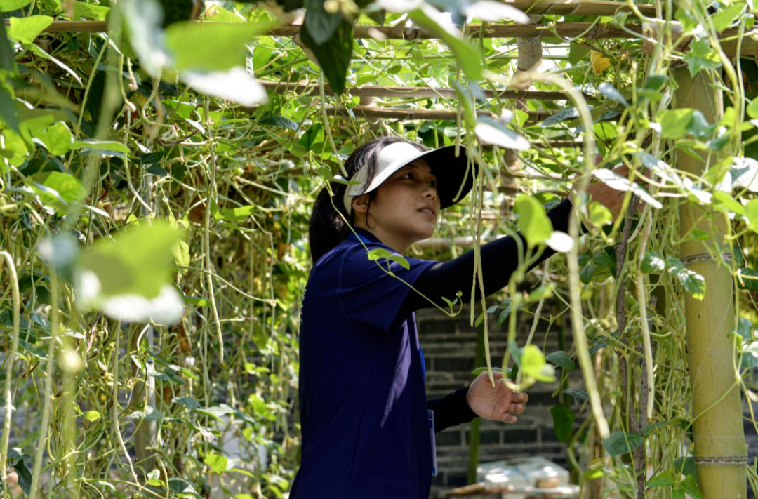 守住耕地紅線，探尋“三農(nóng)”解題之道——湖南師范大學(xué)“瀟湘武韻” 暑期社會(huì)實(shí)踐團(tuán)開展調(diào)研活動(dòng)