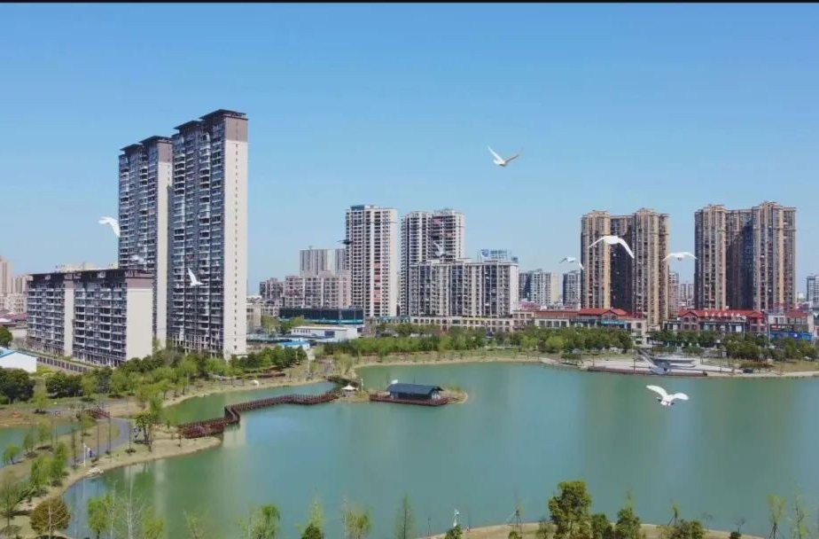 周功表主持召开县委常委会会议