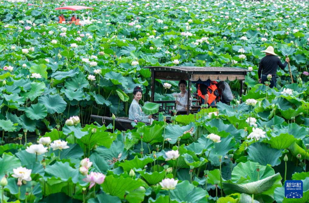 好评中国丨盛夏文旅“热”，共绘消费新图景