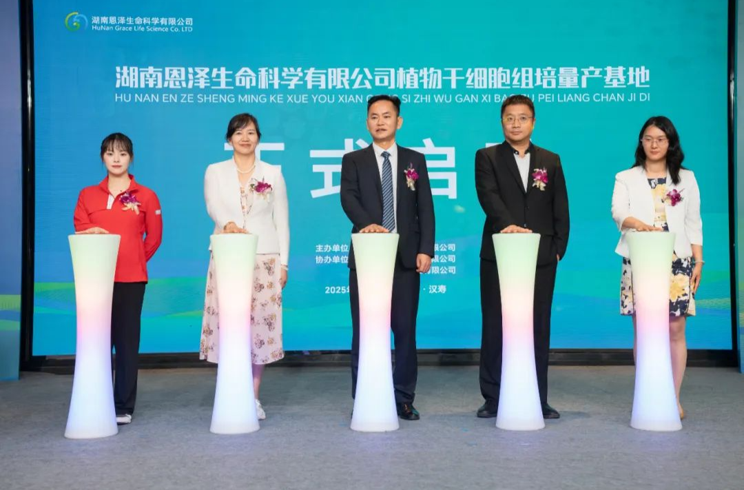 汉寿：植物干细胞组培量产基地建设启动