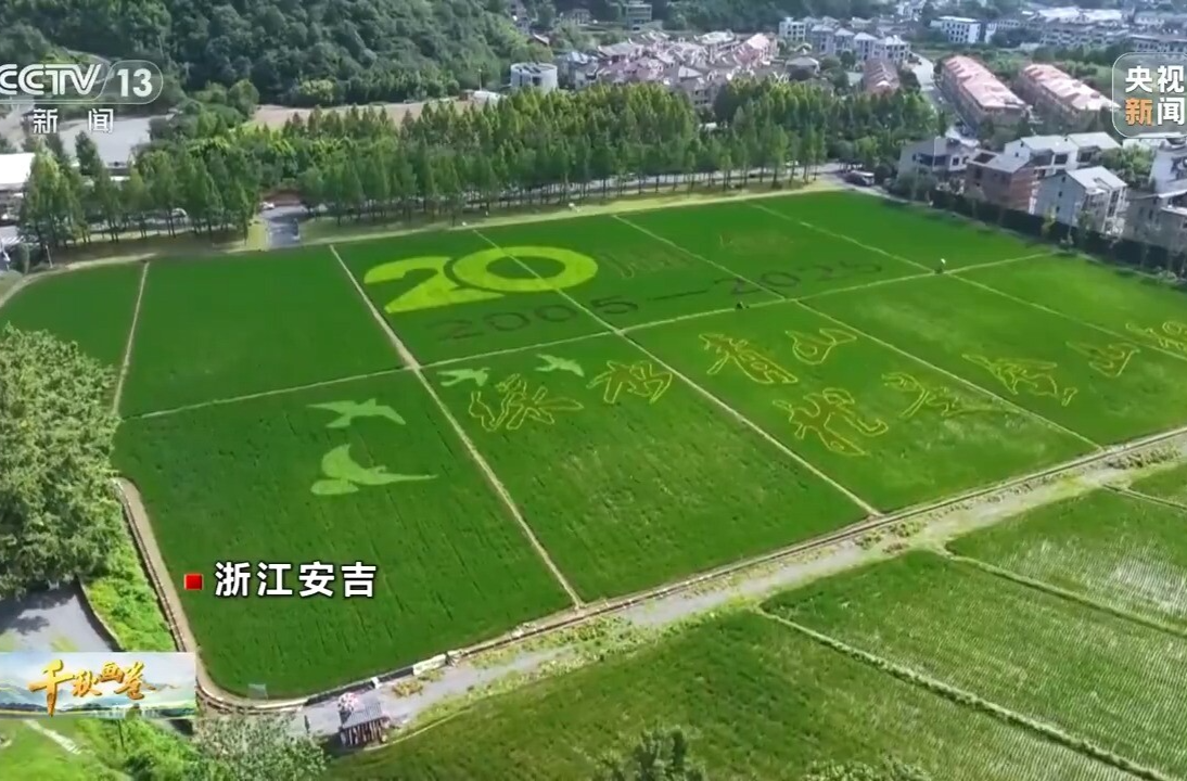 “两山”理念提出二十周年：绿水青山千秋画 万里江山共此卷