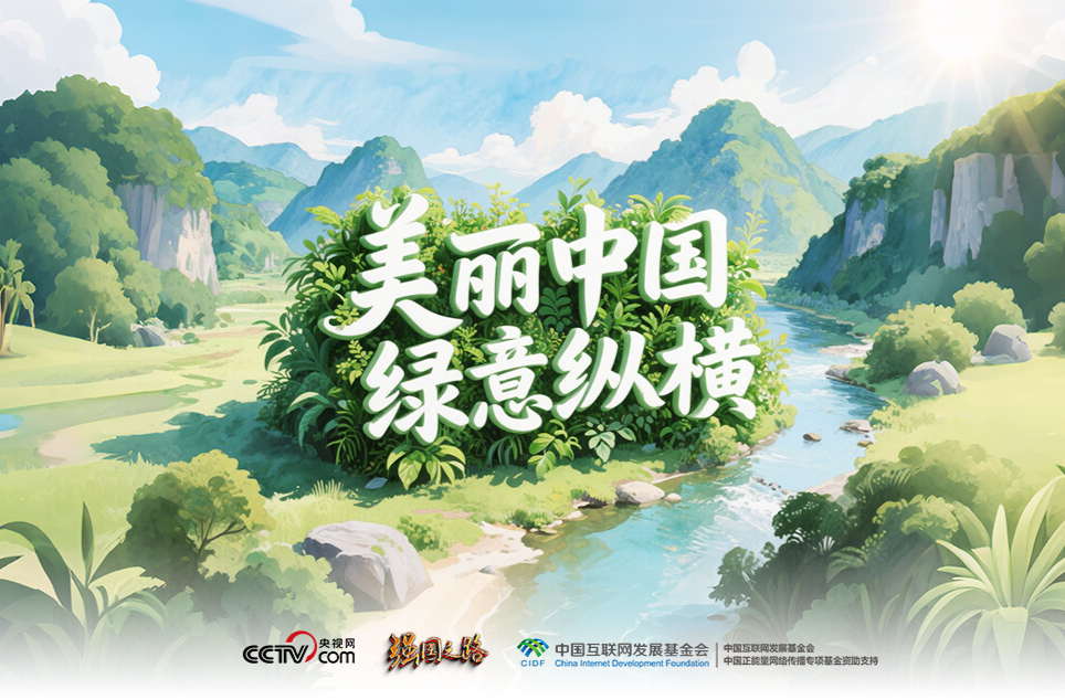 强国之路｜美丽中国 绿意纵横