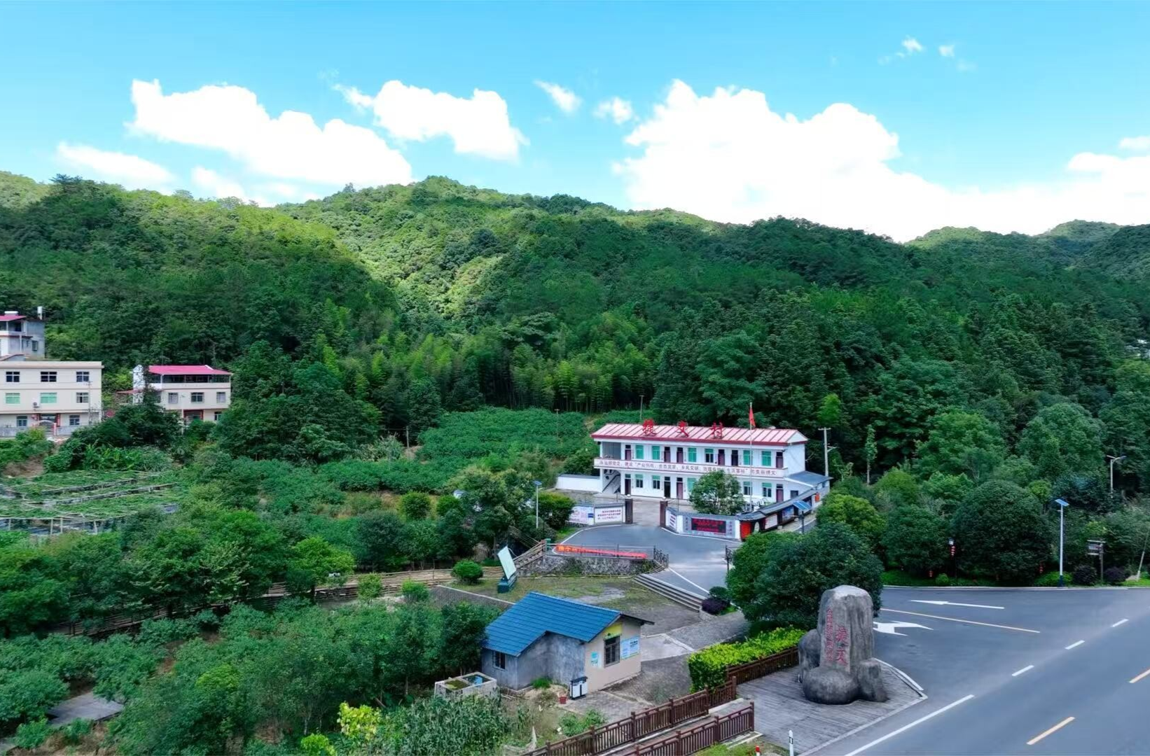 近观“两山”丨青山蝶变幸福靠山