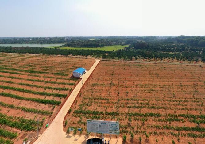 2025-09-02龙阳声韵《沐改革春风 建美丽家园》