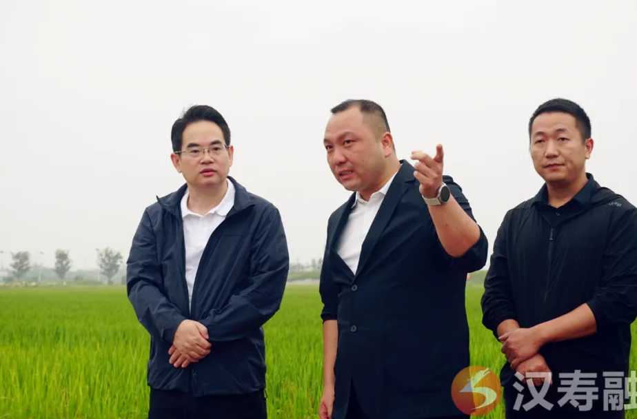周功表专题调研秸秆禁限烧工作