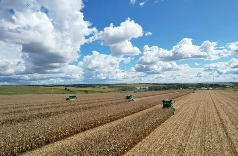 时政微观察丨丰收时节感悟总书记的“三农”情怀