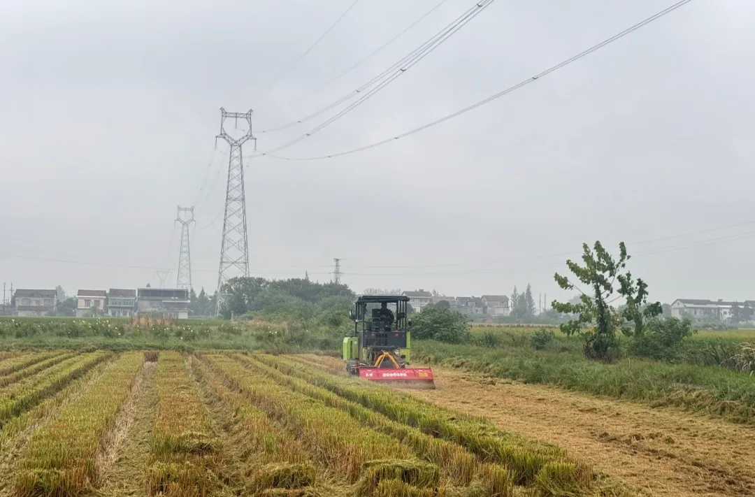 “秸” 尽所能丨汉寿县：粉碎机成秸秆还田“绿色利器”