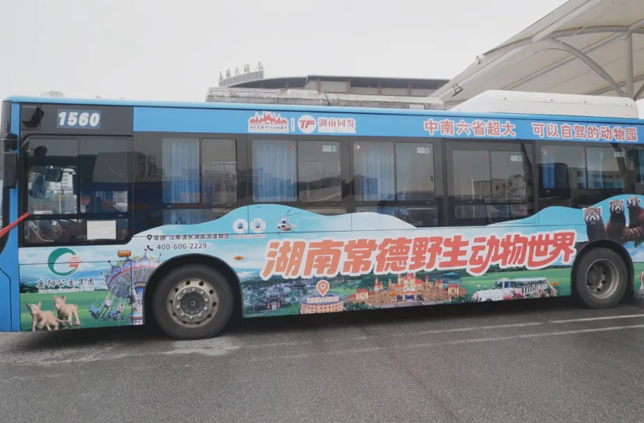 湖南常德野生动物世界开通岳阳公交专车，覆盖38条核心公交线路