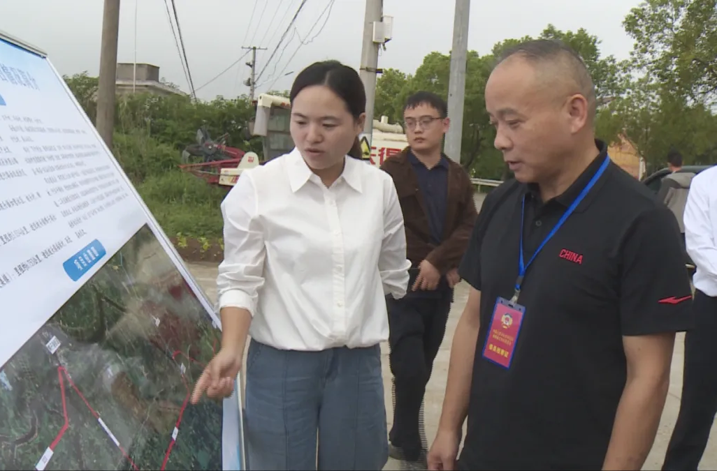 汉寿县政协专题调研西湖片区公路项目建设情况