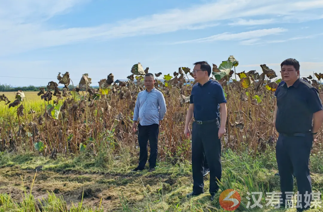 王时雨督导调研大气污染防治与秸秆综合利用工作