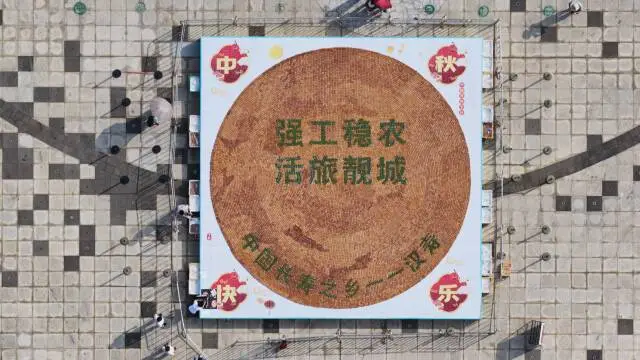直径超10米！巨型万“寿”月饼亮相汉寿
