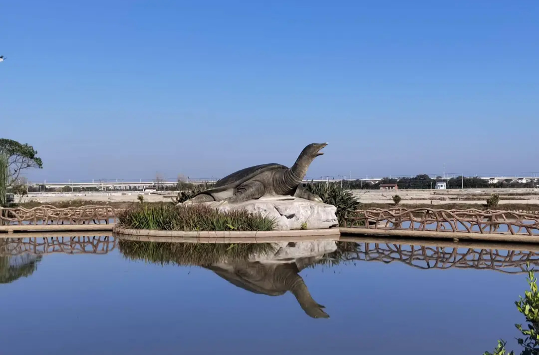 汉寿甲鱼闯天下 势如破竹谱新篇