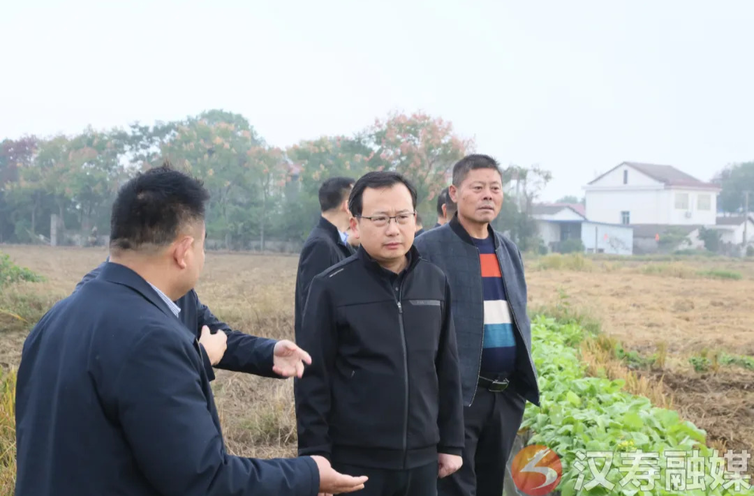 王时雨督导调研大气污染防治与秸秆综合利用工作